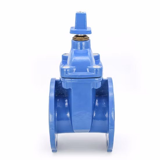 Válvula de gaveta de haste ascendente com flange Wcb de aço carbono API