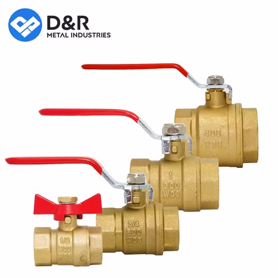OEM/ODM forjou porta completa NPT 600wog 1/2